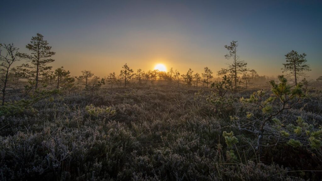 Hunters silhouette misty sunrise outdoor
