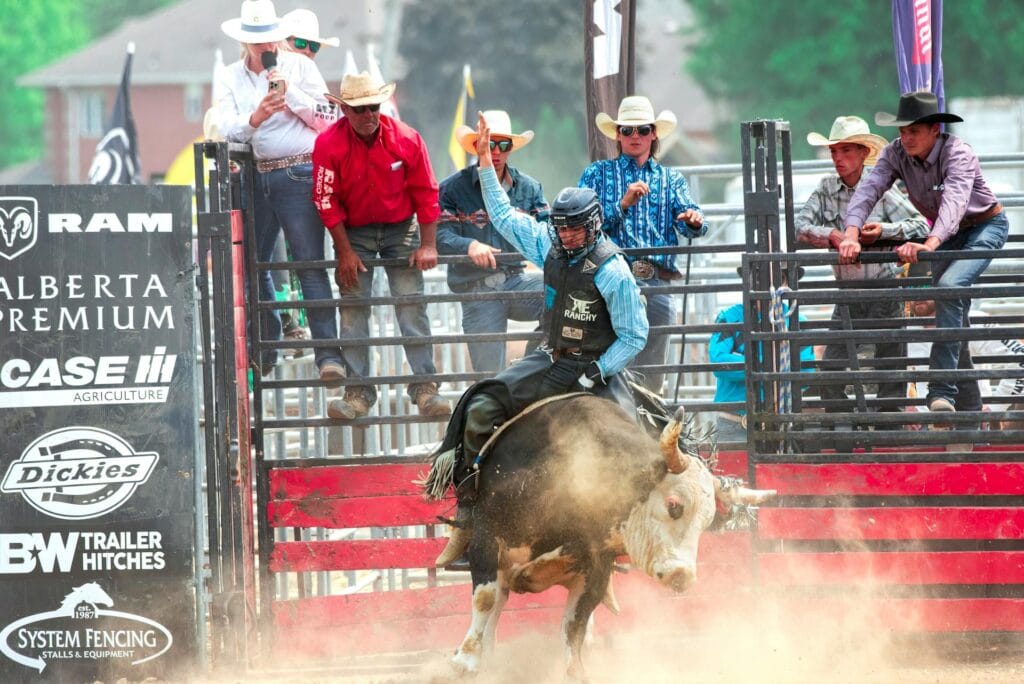 Cowboy bull rider competing with crowd watching at PBR rodeo event